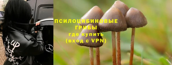 MESCALINE Нязепетровск
