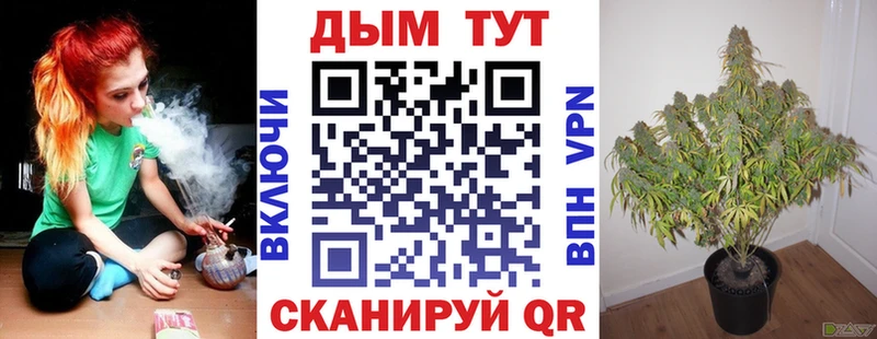 ОМГ ОМГ ТОР  Советск  Бошки Шишки планчик 